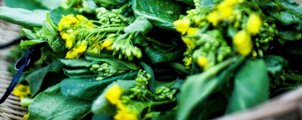 Green and yellow herbs in a basket. Close up picture.