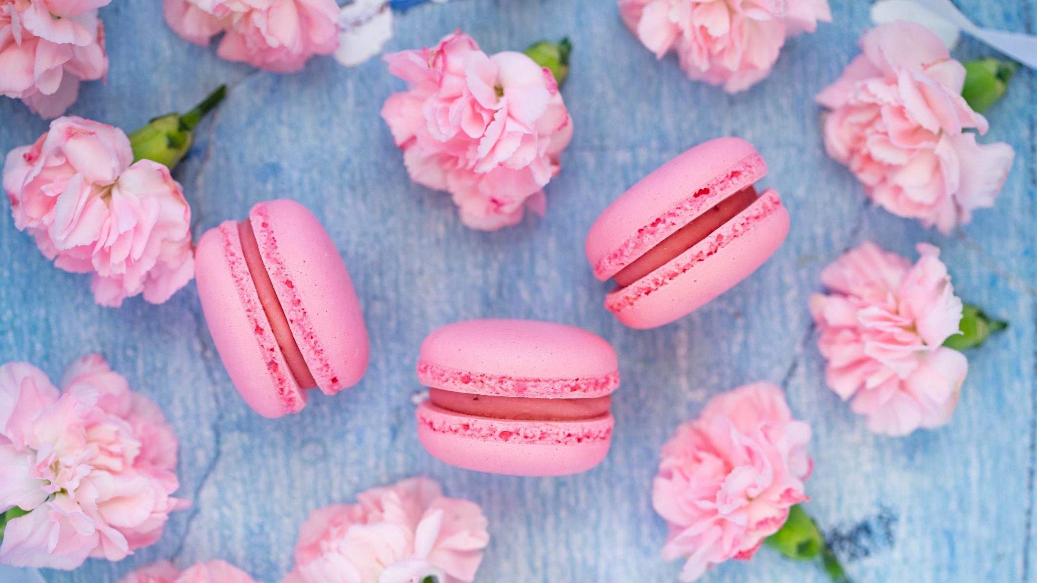 news-food-by-alice